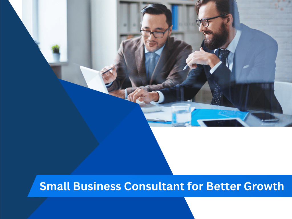 small business consultant,